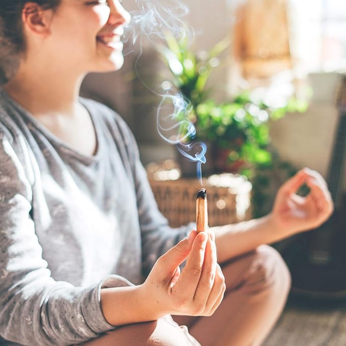 Palo Santo Sticks - Incense Sticks for Spiritual Cleansing, Stress Relief, Meditation Accessories, Home Fragrance - Sustainably Wild Harvested - Pack of 12 - Alternative Imagination