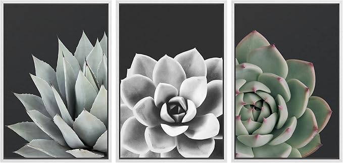 SIGNWIN Framed Wall Art Print Set Desert Rose Echeveria Succulent Set Nature Plants Photography Modern Art Closeup Relax/Calm Dark Black and White for Living Room, Bedroom, Office - 16"x24"x3 White