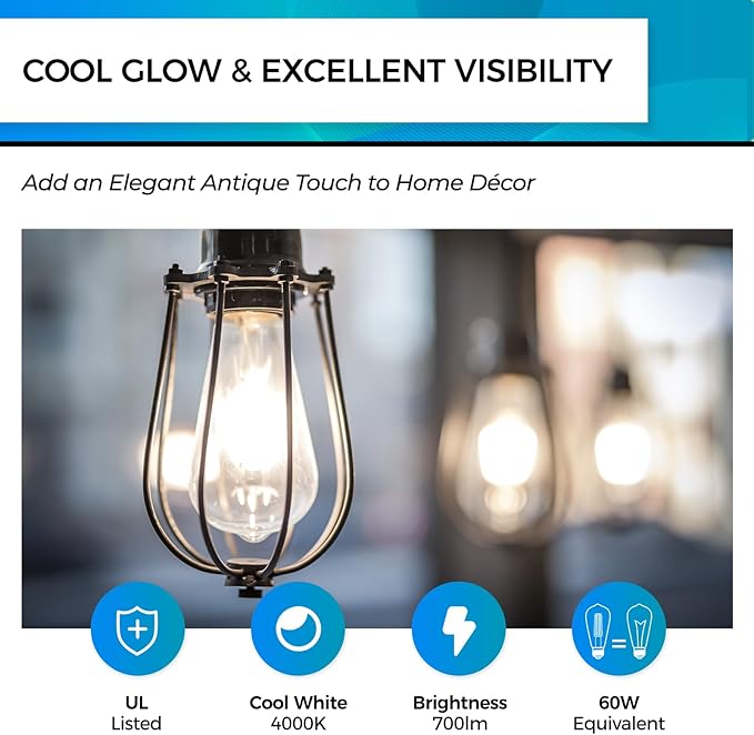 Hizashi Vintage LED Light Bulb Dimmable, 6W Equivalent 60W, Edison Bulbs 4000k Neutral White, E26 Base, 700LM, High CRI 95+ Eye Protection, Clear Glass, Pack of 18