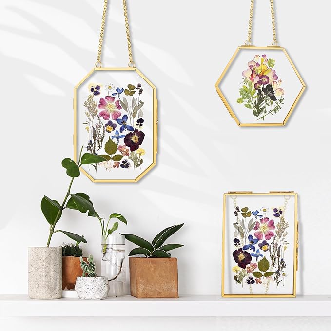 FOCHIER F 3 Pcs Pressed Flower Frames with Tweezers, Wall Hanging Double Glass Frames with Metal Chain for Pressed Dried Flowers Plants, Golden