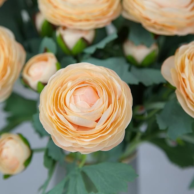 Artificial Ranunculus Flowers with Real Touch Stem,Silk Ranunculus Flowers (Champagne, 10pcs)