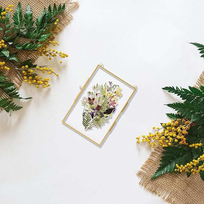 FOCHIER F 4x6in Pressed Flower Frame with Tweezers, Wall Hanging Tabletop Display Double Glass Frame with Metal Chain for Dried Flowers Plants, Horizontal and Vertical Picture Frame, Gold,FRAME ONLY