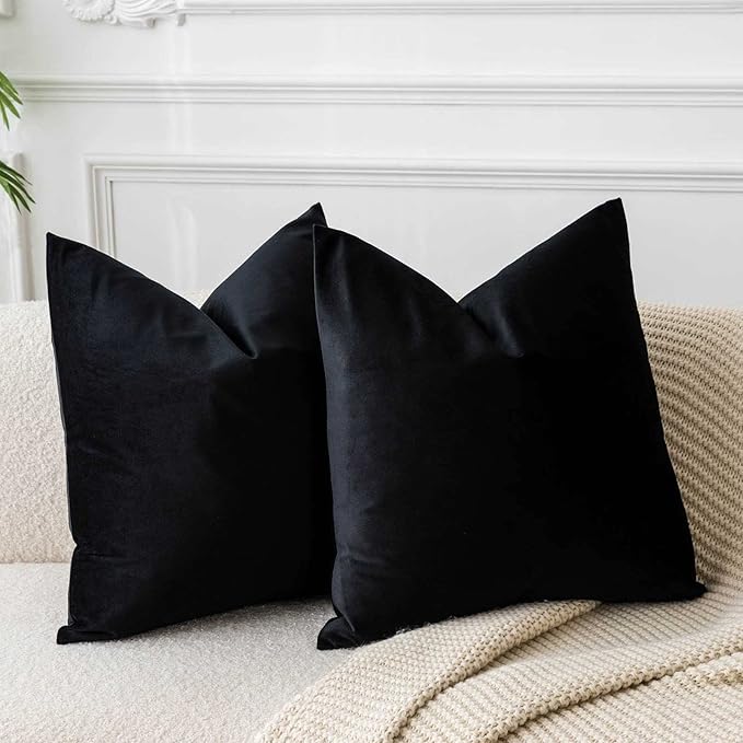 JUSPURBET Black Velvet Pillow Covers Set of 2 Decorative Throw Pillow Covers for Couch Sofa Bed Soft Cushion Covers Cases with Hidden Zipper for Living Room Home Decor 16x16 inch