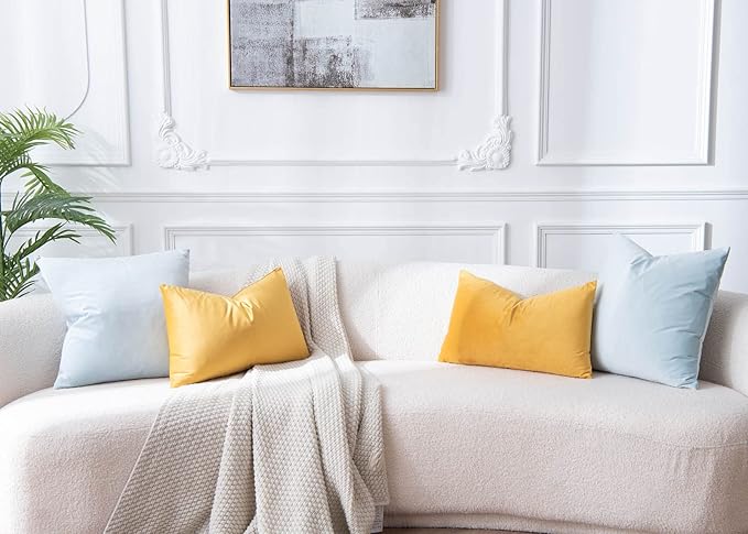 JUSPURBET Decorative Pillow Covers Set of 2 Velvet Throw Pillow Covers for Couch Sofa Bed Soft Cushion Covers Cases with Hidden Zipper for Living Room Home Decor,Powder Blue,14x14 inch