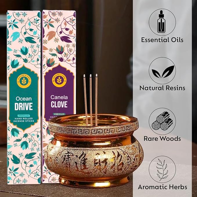 Incense Sticks Gift Pack – 6 Fragrances x 20 Sticks Each, Hand Rolled Insents with Incense Holder – Coconut Canela Fruit Passion ICY Mint Ocean Drive Canela Clove Tangy Lemon