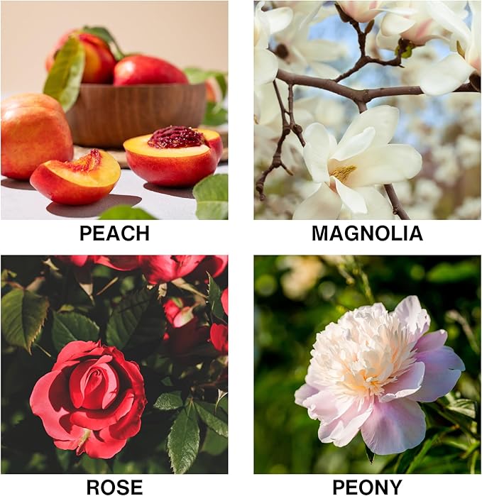 Reed Diffuser Oil – Flora D’Amour Scent with Rose, Peony, Magnolia & Peach – Long Lasting Aroma Diffusers for Home, Bedroom, Bathroom & Office – 50ml