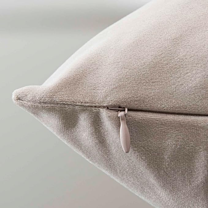 JUSPURBET Throw Pillow Covers Set of 2 Decorative Velvet Pillow Covers for Couch Sofa Bed Soft Cushion Covers Cases with Invisible Zipper for Living Room Home Decor 24x24 inch,Cloud