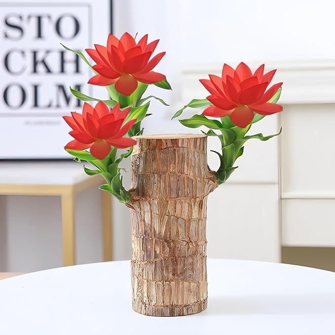 Brazilian Wood Plants,with Base and Mystery Doll Decorations, Easy to Plant in The Home Office to attracts Wealth,Lucky Wood Plant,Home Decoration