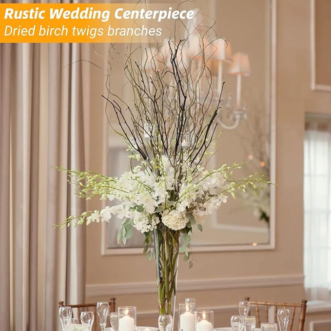 60Pcs Real Dried Birch Twigs Branches - 16” Natural Decorative Birch Branches for Easter Vases, Birch Sticks for DIY, Centerpiece, Floral Arrangment, Twig Wreath, Rustic Home Decor