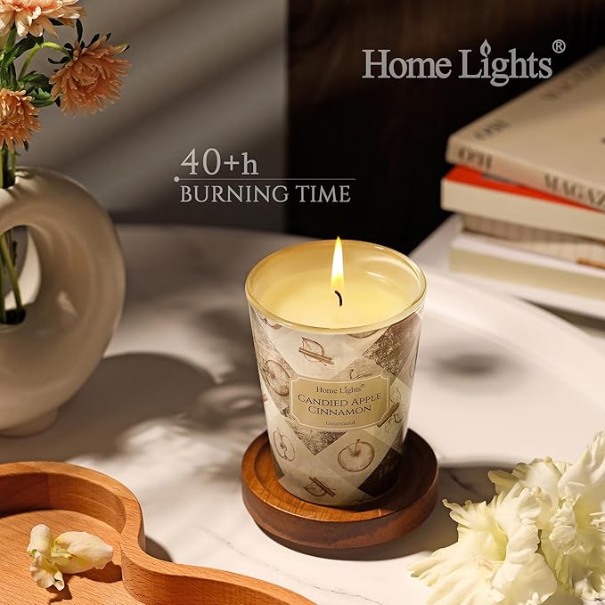 HomeLights Large jar Candle | 1-Wick Long-Lasting Scented Candles, 6.7oz Natural Soy Wax Candle for Home Scented, Rustic Modern Gifts for Women & Men, Candied Apple Cinnamon