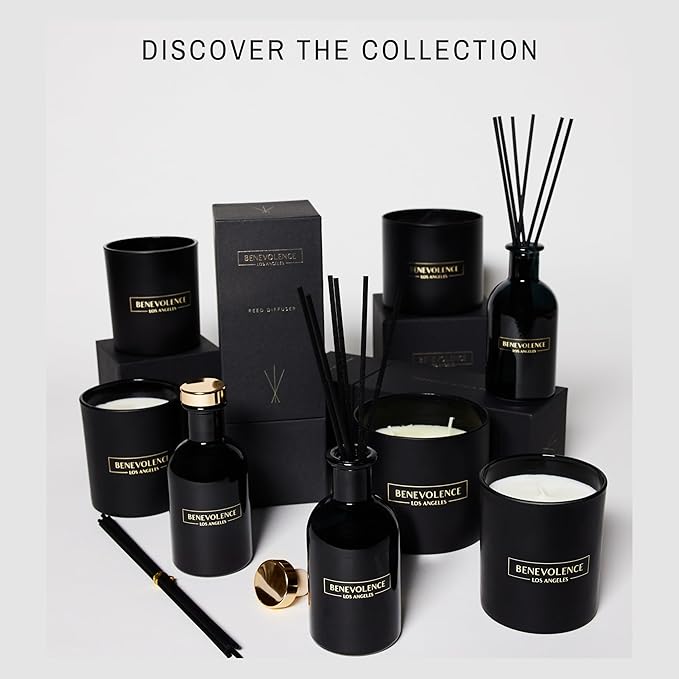 Benevolence LA Reed Diffusers for Home, Bergamot & Jasmine Relaxing Fragrance | Aromatherapy Reed Diffuser Sticks with Gift Box, Scented Sticks for Bathroom | Home Décor