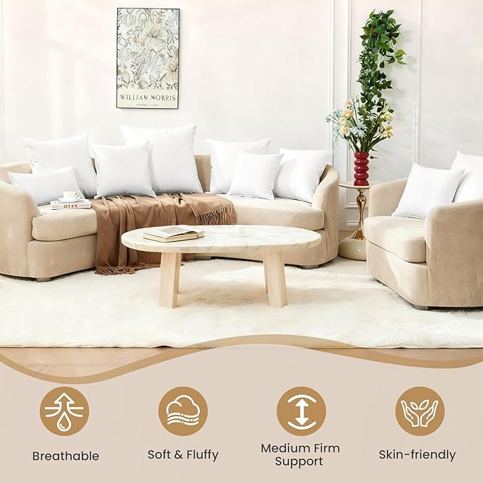 BHZ Throw Pillows 12x20 Euro Pillow Inserts Set of 2, Down Feather Alternative Pillow Inserts, Decorative Soft Large Square White Throw Pillows Insert for Couch Bed Dorm Sofa with Cotton Cover