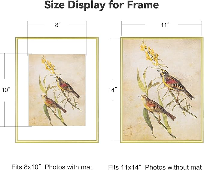11x14 Picture Frame, Matte Gold Modern Thin Aluminum Metal Photo Frame with HD Glass, Fits 8x10 with Mat or 11 x 14 without Mat, for Tabletop and Wall Mounting, 1 Pack
