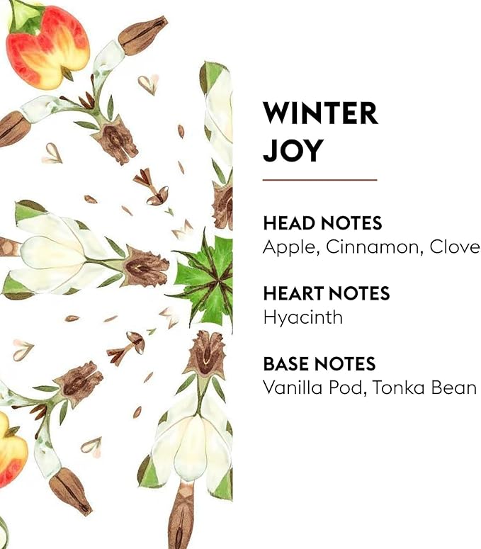 MAISON BERGER Winter Joy Lampe Berger Refill, 500 ml (16.9 fl oz), Odor-Neutralizing Home Fragrance Oil Lamps, Apple, Cinnamon, Clove, Hyacinth, Vanilla Pod, Made in France