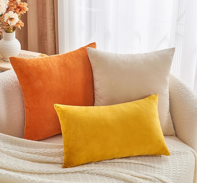 Throw Pillow Covers Burnt Orange Set of 2 16x16 Inch Fall Pillow Covers, Soft Velvet Farmhouse Neutral Decorative Pillowcases for Couch Sofa Bed, Home Boho Decor, Modern Cushion Covers
