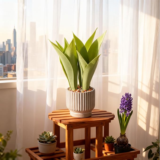 Artificial Realistic Snake Plant 16" in Concrete-Colored Pot Fake Snake Plants Sansevieria Greenery Faux Snake Plant for Home Office Living Room Housewarming Gifts Indoor Decor