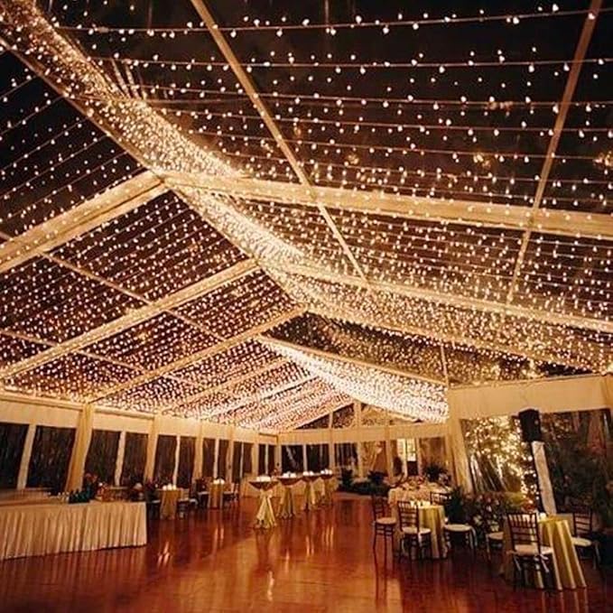 Novelty Lights 50 Light LED Twinkle Christmas LED Mini Light Set, Outdoor Fairy Wedding String Lights, Warm White, Green Wire, 25 Feet