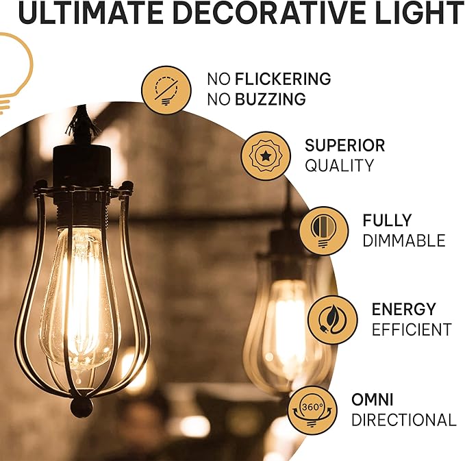 Hudson Bulb Co. Vintage Incandescent Edison Light Bulbs, 60W, E26/E27 Base, 2100K Dimmable Decorative Lights, ST58 Style Warm Glow, Antique Squirrel Filament for Outdoor and Indoor Use - 6 Pack