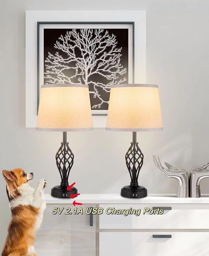 Charging Table Lamps Set of 2, nightstand lamp with USB Ports Bedside Desk lamp for Living Room Bedroom,Black Spiral cage Base Design 3 Color Temperature LED Bulbs Included.