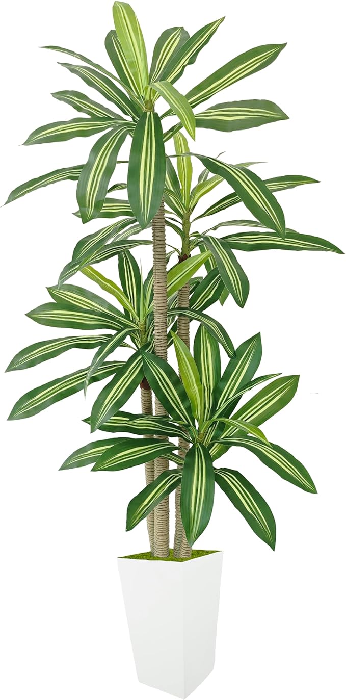 Artificial Dracaena Tree 6ft, Fake Plant with White Tall Planter, Faux Yucca Floor Trees, Artificial Silk Plants for Home Office Room Decor Housewarming Gift Indoor