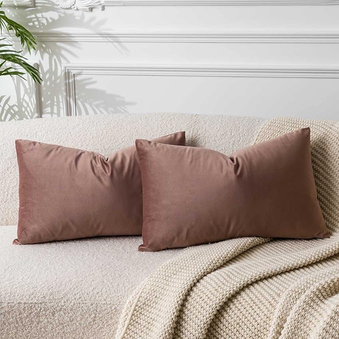 JUSPURBET Couch Pillow Covers Set of 2 Decorative Velvet Throw Pillow Covers Cases for Modern Farmhouse Home Decor Soft Lumbar Cushion Covers with Hidden Zipper for Sofa Bed,Jam,12x20 inch