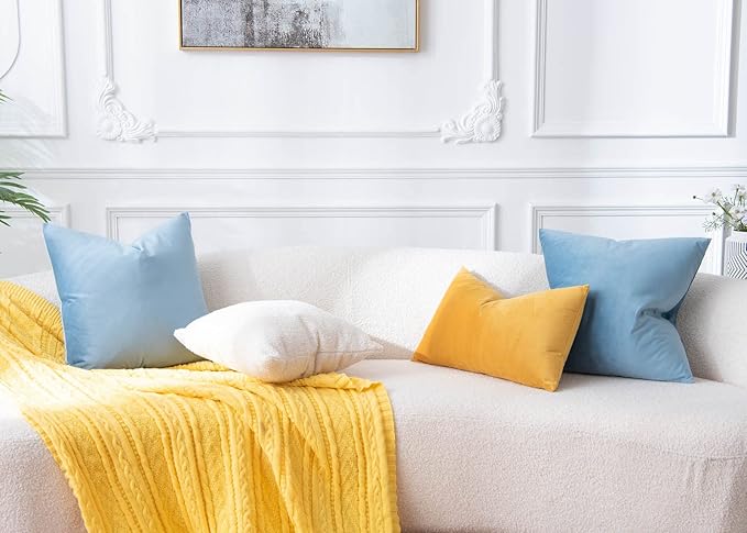 JUSPURBET Light Blue Throw Pillow Covers Set of 2 Decorative Velvet Pillow Covers for Couch Sofa Bed Soft Cushion Covers Cases with Invisible Zipper for Living Room Home Decor 24x24 inch