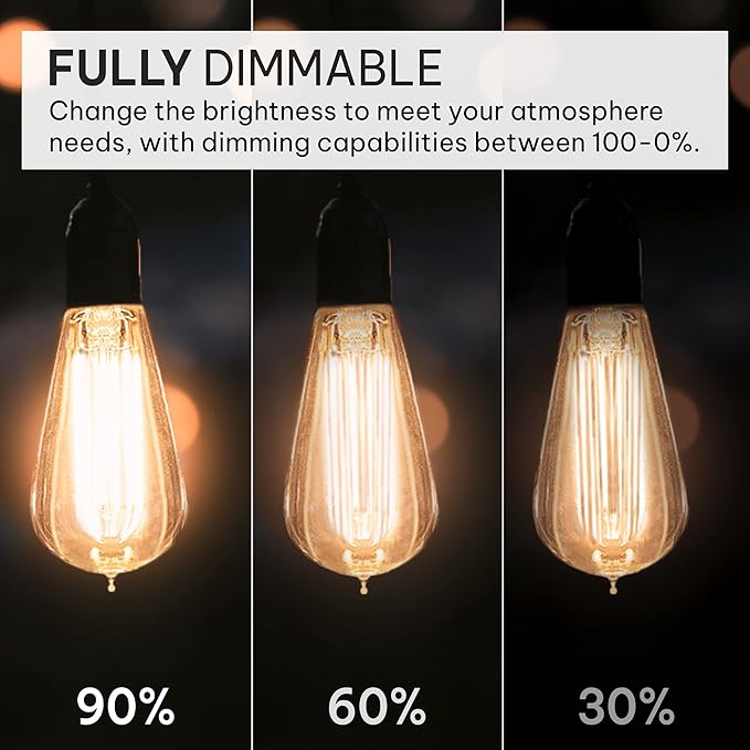 Hudson Bulb Co. Vintage Incandescent Edison Light Bulbs, 60W, E26/E27 Base, 2100K Dimmable Decorative Lights, ST58 Style Warm Glow, Antique Squirrel Filament for Outdoor and Indoor Use - 6 Pack