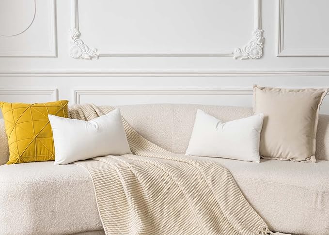 JUSPURBET Cream White 16x24 inch Pillow Cover Set of 2 Soft Decorative Lumbar Velvet Throw Pillow Cases for Couch Bed Sofa Zippered Closure Luxurious Velvet Fabric Machine Washable Home Decor