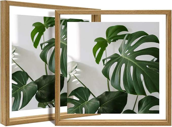 Egofine 12x12 Floating Frames Set of 2, Double Plexiglass Picture Frame, Made of Solid Wood Display Any Size Photo up to 12x12, Wall Mount or Tabletop Standing,Carbonized