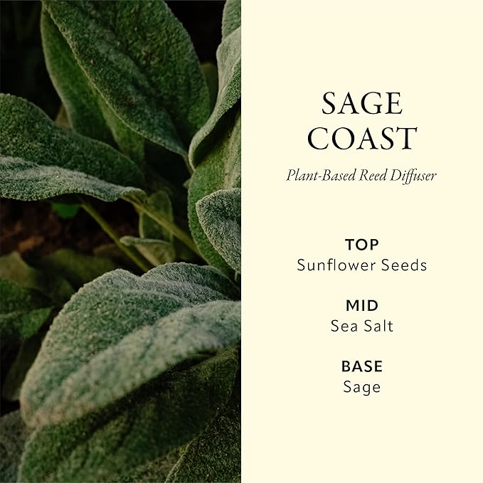 Soréva Plant-Based Reed Diffuser Set, Coastal Sage and Sea Salt Breeze, Serene Aromatherapy for Mindfulness, Long Lasting, Alcohol Free, Set, 7 Sticks, 4.39 fl oz