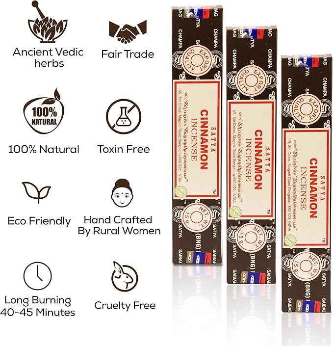 Satya Cinnamon Incense Sticks, Satya Bng (Bangalore) Insenses 15gmx12 Pack with Raajsee Incense Holder Bundle, Satya Nagchampa Natural Incense