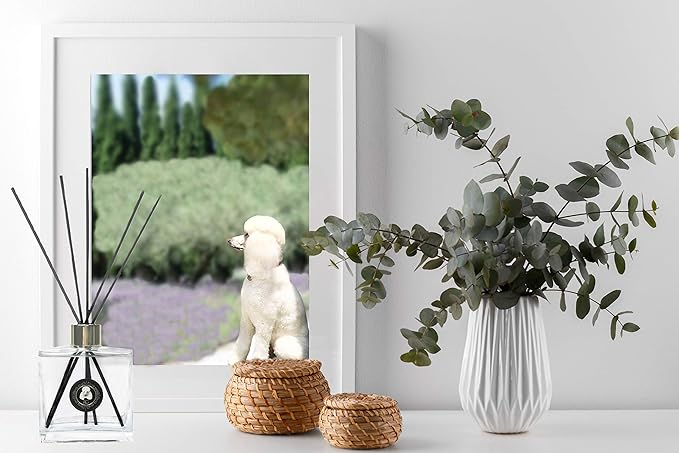 Rainier’s Gifts Reed Diffuser Set (Holiday Eggnog) - Scented Oil Diffuser Sticks - Home Fragrance Aromatherapy Air Freshener 6.5 fl oz