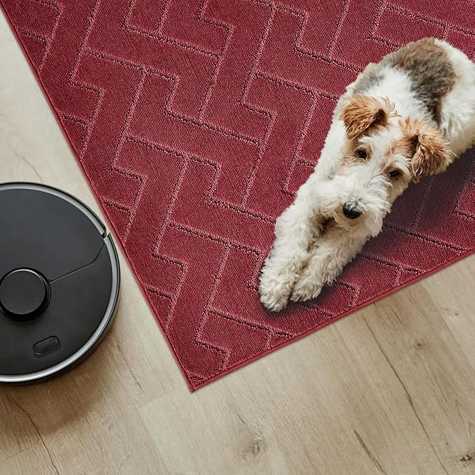 PURRUGS Easy Care Area Rug 6ft x 9ft, Non-Slip Machine Washable Entry Rug, Dog Door Mat, Stain Resistant Accent Rug for Hallway, Bedroom, Living Room and Mudroom, Cherry Red
