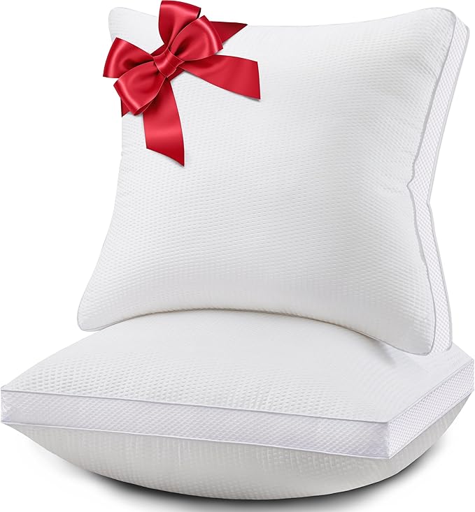 24x24 Pillows Inserts Set of 2, Throw Pillows 24 Inch Premium Down Alternative Pillow Inserts, 24 by 24 Square Premium Cushion with 100% Cotton Cover for Bed, Sofa, Couch