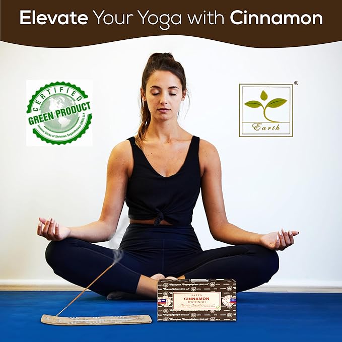 Satya Cinnamon Incense Sticks, Satya Bng (Bangalore) Insenses 15gmx12 Pack with Raajsee Incense Holder Bundle, Satya Nagchampa Natural Incense