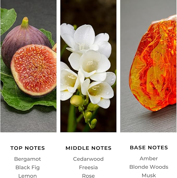 Brilliant Scents Sugar Beach Fragrance Oil 120ml - Premium Diffuser Oil for Home, Office, Hotels - Long Lasting, Plant-Based, Meets IFRA Standards, USA-Made - Fig, Rose, Blonde Woods