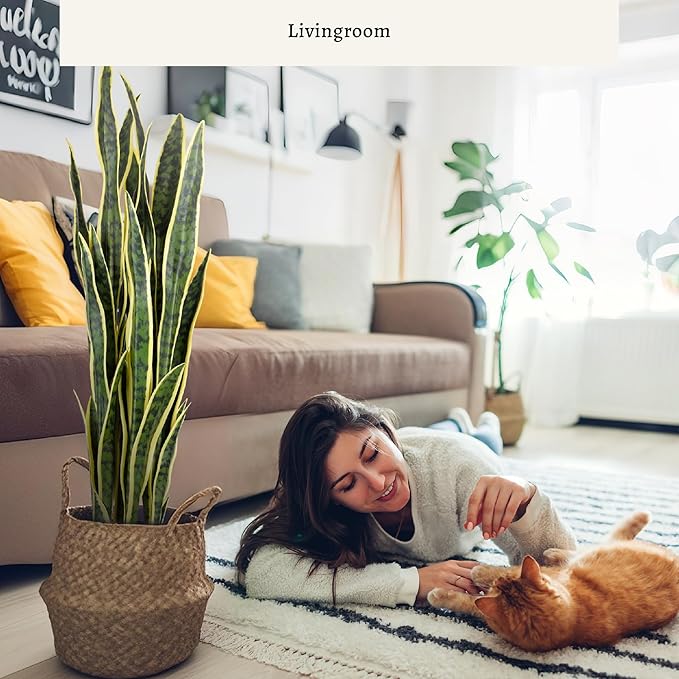 KOL 3ft 2PCS Artificial Snake Plant, 32 PVC Lifelike Leaves, 35in Faux Sansevieria for Indoor Home & Garden Decor, Potted Mother-in-Law's Tongue Plants, Yellow