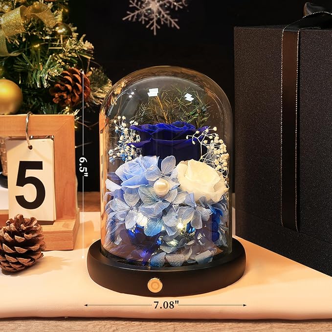 FIACO Preserved Flowers Rose Gifts for Women, Birthday Gifts Eternal Rose in Glass Dome Long-Lasting Real Forever Flowers Gifts for Mom Grandma Wife Girlfriend