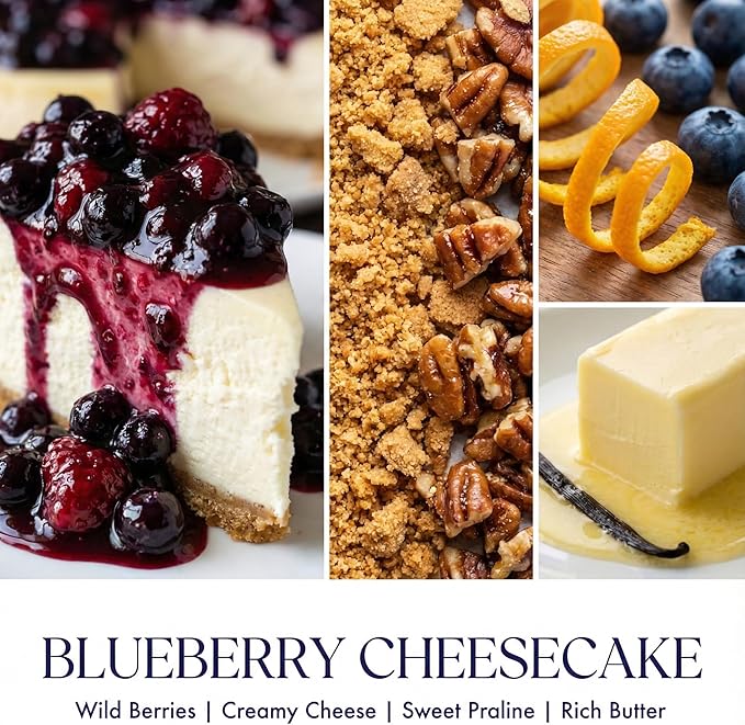 HomeLights Scented Candles for Women & Men, 34oz Candle Jars Aromatherapy 3-Wick Candle, Ideal for Rustic Modern Home Decor and Gifts, Blueberry Cheesecake