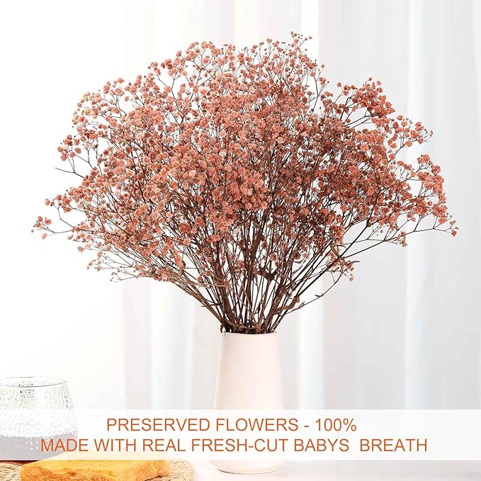 Babys Breath Dried Flowers Bouquet-17'' 3200+ Ivory Dry Flowers, Natural Gypsophila Branches for Wedding, Home Table Vase Decor, DIY Wreath Floral, Fall Thanksgiving Autumn Decoration (Brown, 3.5oz)