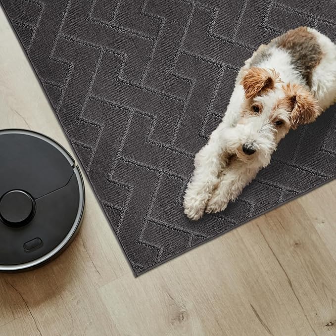 PURRUGS Easy Care Area Rug 4ft x 6ft, Non-Slip Machine Washable Entry Rug, Dog Door Mat, Stain Resistant Accent Rug for Hallway, Bedroom, Living Room and Mudroom, Charcoal