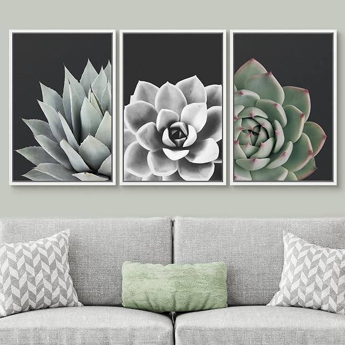 SIGNWIN Framed Wall Art Print Set Desert Rose Echeveria Succulent Set Nature Plants Photography Modern Art Closeup Relax/Calm Dark Black and White for Living Room, Bedroom, Office - 16"x24"x3 White