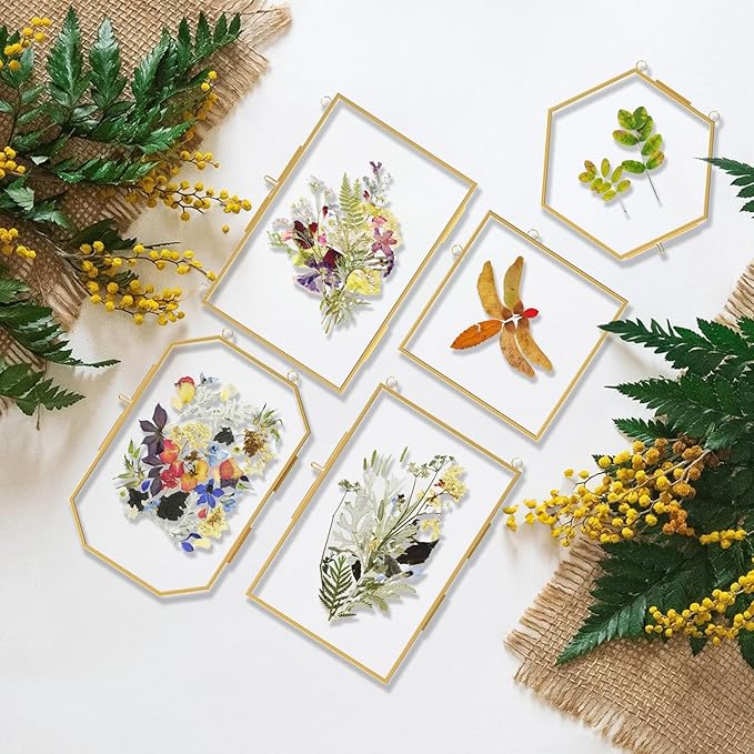 FOCHIER F 5 Pcs Pressed Flower Frames with Tweezers, Wall Hanging Tabletop Display Double Glass Frames with Metal Chain for Pressed Dried Flowers Plants, Horizontal and Vertical Picture Frame, Golden