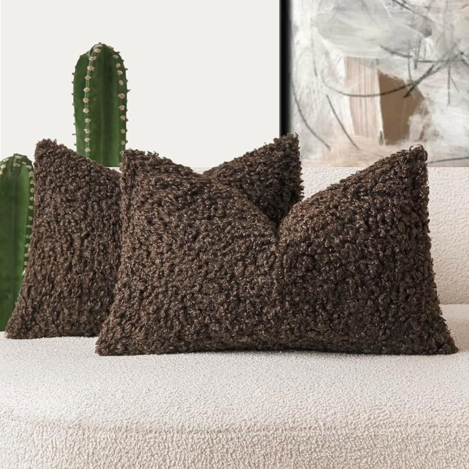 Foindtower Set of 2 Curly Teddy Wool Pillow Covers Decorative Boucle Textured Lumbar Throw Pillow Faux Fur Sherpa Pillowcases Sheepskin Fuzzy Cushion Case for Sofa Bedroom Car 12"x20" Dark Brown
