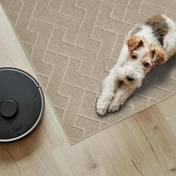 PURRUGS Easy Care Area Rug 4ft x 6ft, Non-Slip Machine Washable Entry Rug, Dog Door Mat, Stain Resistant Accent Rug for Hallway, Bedroom, Living Room and Mudroom, Taupe