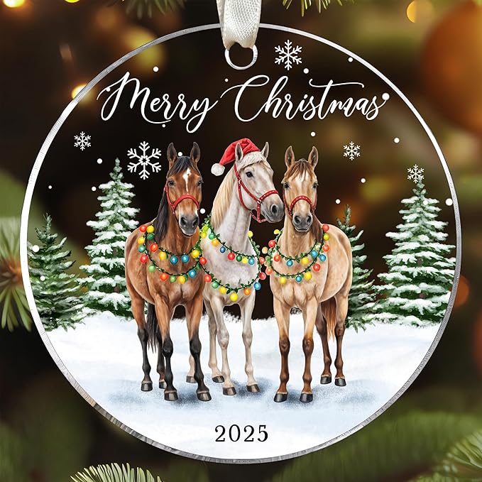 Horse Ornaments for Christmas Tree - Horse Ornament 2025 - Horses Gifts for Girls, Lovers - Horses Racing Riding Christmas Ornaments - Acrylic Ornament 2025