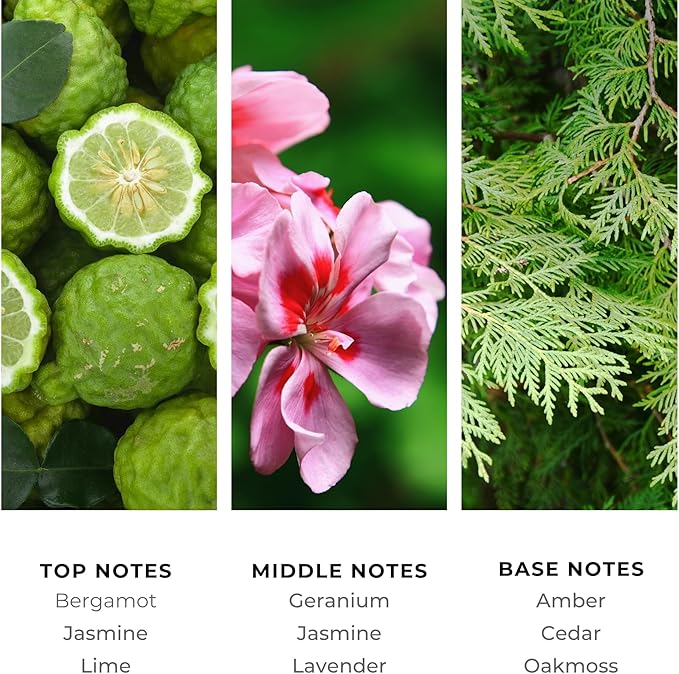 Brilliant Scents Diffuser Oil Refill, Designer Collection Aroma Scents, Essential Oils Set for Home, Fragrance Oil for Candle Making, Hotel, 50ML, Aqua Intimo