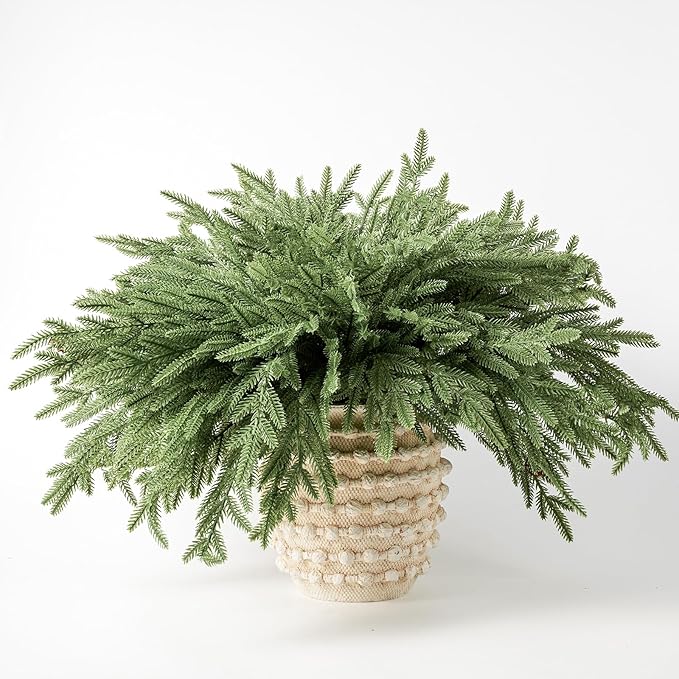 DN DECONATION Artificial Christmas Norfolk Pine Stems, Faux Pine Branches 22.4" 12PCS - Real Touch PE Greenery Fake Pine Needles for Vase Arrangements, Winter, Holiday Indoor Outdoor Home Decor