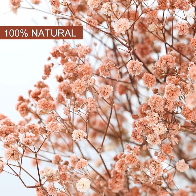 Babys Breath Dried Flowers Bouquet-17'' 3200+ Ivory Dry Flowers, Natural Gypsophila Branches for Wedding, Home Table Vase Decor, DIY Wreath Floral, Fall Thanksgiving Autumn Decoration (Brown, 3.5oz)