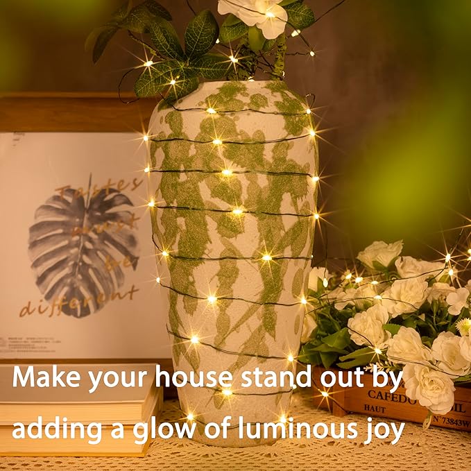 100FT Green Wire Fairy Lights Plug-in, 300 LED Dimmable Waterproof String Lights with Remote - 8 Modes Warm White for Christmas Tree, Yard, Holiday Party Decorations